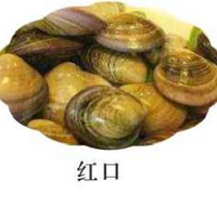 紅口