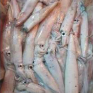 觥魚(yú)筒